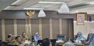 Pj. Walikota Payakumbuh Suprayitno dan Sekretaris Dirjen Kemenkes dr. Niken Wastu Lupita dalam audiensi di Kementerian Kesehatan, Jakarta