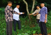 Wakil Wali Kota dan Tokoh Adat, berdiri di area berumput dan menunjuk ke satu titik di tanah dekat pohon, sebagai simbol dimulainya pembangunan gerbang selamat datang di kawasan Ngalau, Payakumbuh.