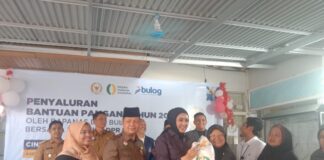 Anggota Komisi IV DPR RI Cindi Monica Salsabila menyerahkan langsung bantuan pangan beras kepada masyarakat di Payakumbuh, didampingi Pemko dan BULOG.