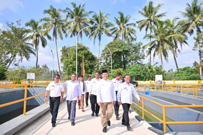 WhatsApp Image 2025-12-24 at 14.36.55